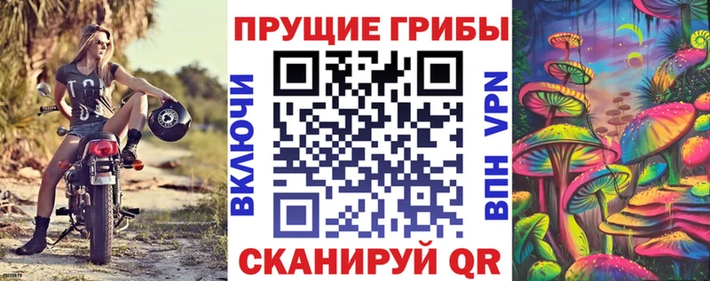 Псилоцибиновые грибы мухоморы  ссылка на мегу сайт  Гуково 